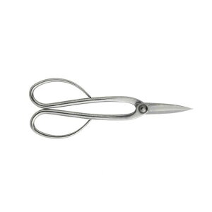 XeX~ 3015 ~ nT~ | A K[fjO  BONSAI OElZ { KIKUWA va H  [