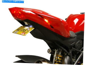 Rear Fender I[goCtF_[G~l[^[Lbg1DSTF. Competition Werkes Motorcycle Fender Eliminator Kit 1DSTF