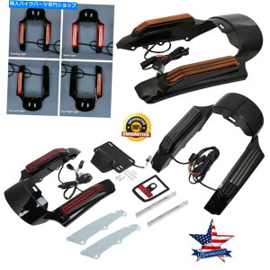 Rear Fender AtF_[̋ؓ̂߂̃Cg̓n[[c[O[hLOGNgOCh14AbvBF Rear Fender Fascia LED Light For Harley Touring Road King Electra Glide 14-Up BF