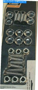 Rear Fender 00-03n[[_rbh\GNgOCh[hLO\tgAtF_[N[{g 00-03 HARLEY DAVIDSON ELECTRA GLIDE ROAD KING SOFTAIL REAR FENDER CHROME BOLTS