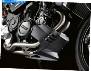 Windshield BMW F 800 S F 800 R MOTORSPOLORER�o�O�X�|�C�gkunststoff BMW F 800 S F 800 R Motorspoiler Bugspoiler Kunststoff