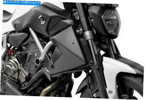 Windshield PuigWG[^[TChpl PUIG Radiator Side Panels