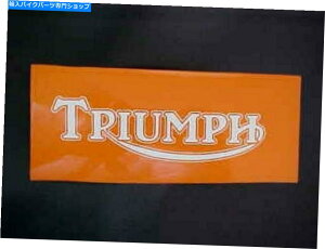 V[g ̏Ȃ̃SXeV}XN^OOtBbN EARLY TRIUMPH SEAT LOGO STENCIL MASK LETTERING GRAPHICS