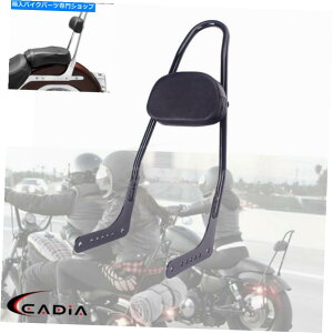 V[V[o[ n[[\tgXFXBB FLHC 18-21̂߂̍̍Sissy Bar W /q̔w Tall Sissy Bar w/Passenger Backrest For Harley Softail Slim FLSL FXBB FLHC 18-21