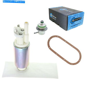 ^N C^[lbgR|vW / REGAn[[ - _rbh\[hLONVbN98-99p^NV[ Intank Fuel Pump w/Reg, Tank Seal for Harley-Davidson Road King Classic 98-99