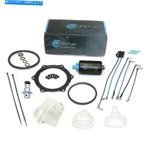 ^N R|vW /^NV[AbNAlbRAtB^[+ REG 2009-20 Fuel Pump w/Tank Seal, Lock Anello, Filter+Reg for Kawasaki Mule 4010 2009-20