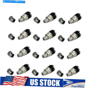 �N���[���p�[�c TR161�^�C���o���u�̂��߂̋��������Ԃ̃g���b�N�{���g�N�������ꂽ�v���X�`�b�N���̖X�q���t���Ă���Z���s TR161 Metal Car Truck Bolts For Tire Valve Short Stems with Chromed Plastic Cap