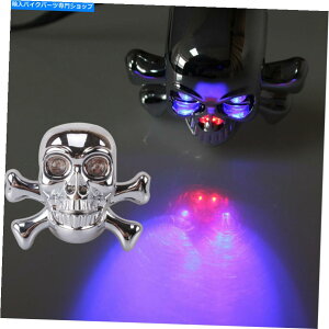 N[p[c 2{I[goCN[XJ^[VOie[LEDԐACWP[^[Cg 2x Motorcycle Chrome Skull Turn Signal Tail LED Red Blue Rear Indicator Light