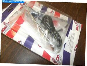 N[p[c 45-1231N[C[OLEDtF_[S[hEBOANZT[GL 1800 ADD ON 45-1231 Chrome Eagle LED Fender Ornament Goldwing Accessory GL 1800