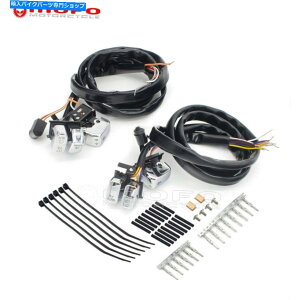 N[p[c n[[p45CWOOV[YZbgJbgR[`A~mhVhV[YCX̃CY - IWĩ^Cg\ Harleyp 45 C`CO