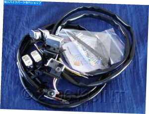 �N���[���p�[�c Harley Sportster Dyna 1996-2006�̂��߂̃N�����n���h�R���g���[���X�C�b�` CHROME HAND CONTROLL SWITCHES FOR HARLEY SPORTSTER DYNA 1996-2006�y���s�A���i�z