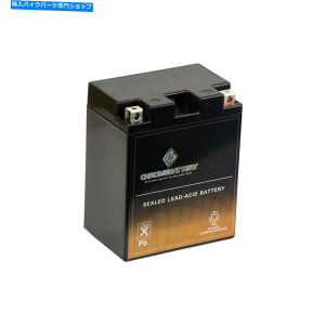 N[p[c Chrome Battery YTX14AHL-BSobe[ - [dA\p[SPO ... Chrome Battery YTX14AHL-BS Battery - Rechargeable, High Performance Power Spo...