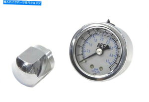 N[p[c NbJ[{bNXVtgGht̖Q[Wn[[ACAwbhVxwbh Chrome Rocker Box Shaft End Liquid Oil Pressure Gauge Harley Ironhead Shovelhead