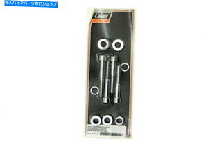 N[p[c V-Twinɂn[[_rbh\̂߂̃VbN}EgLbgN Shock Mount Kit Chrome for Harley Davidson by V-Twin