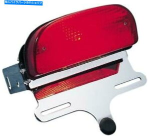 N[p[c b{utF_[̂߂DSJX^e[CgƃNCZXuPbg DS Custom Taillight and Chrome License Bracket for Fat Bob Fender