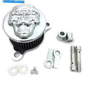 N[p[c 2004-2014n[[X|[cX^[XL883 XL1200XJGAN[i[tB^[Lbg Chrome For 2004-2014 Harley Sportstar XL883 XL1200 Skull Air Cleaner Filter Kit