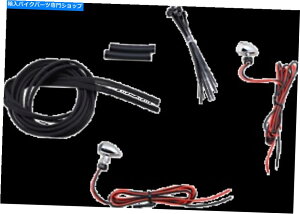 N[p[c JX^_Ci~NXN[/Ԃ}CNeLED^[VOiCD-MICRE-R-C Custom Dynamics Chrome/Red Micro Bullet LED Turn Signals CD-MICRO-R-C