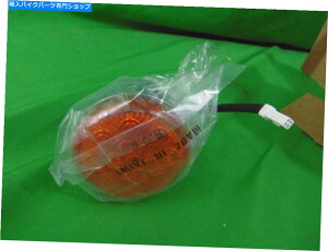 N[p[c NOSCh`[tA`[teCAXvOtB[hA^[M-Chroome OEM 2412599-156 NOS Indian Chief,Chieftain, Springfield Rear Turn Signal -Chrome OEM 2412599-156