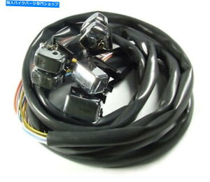 N[p[c Attities Inc-AT-AS63528 Chrome Harley 1996N2006N̎Rg[XCb`1 Attitude Inc ATT-AS63528 CHROME HARLEY 1996 TO 2006 HAND CONTROL SWITCHES WITH 1