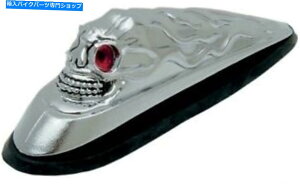 N[p[c n[[_rbh\tgtF_[Cg Harley Davidson Front Fender Light