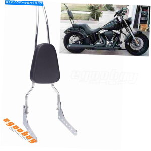 N[p[c Sissy Bar-jeodey Flde Flhc FXBB 2018-2020prqpzXgXN[ - IWĩ^Cg\ Sissy Bar-n[[\teCFLDE FLHC FXBB 2018-2020p qpobNXgN[- sh