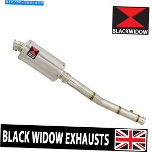 N[p[c ER-6F EX650C ER650 NINJA 650R 05-11nCx̔rCTCT[XeX230SS ER-6F EX650C ER650 Ninja 650R 05-11 High Level Exhaust Silencer Stainless 230SS