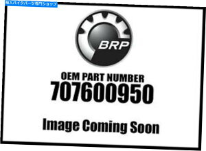 �N���[���p�[�c Spyder Trim Muffler R Chrome 707600950 New OEM Spyder Trim Muffler R Chrome 707600950 New Oem�y���s�A���i�z