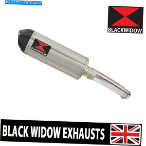 N[p[c CB 600 Fz[lbgPC41rCI[oXeX/J[{`bvTCT[2007-2013 300st CB 600 F HORNET PC41 EXHAUST OVAL STAINLESS/CARBON TIP SILENCER 2007-2013 300ST