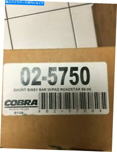 N[p[c COBRA 02-5750V[gXNGASissy Bar - Chrome. Cobra 02-5750 Short Square Sissy Bar - Chrome