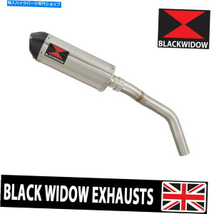 N[p[c G800 ABS 2010-2020rCTCT[ȉ~`̒Yf̃`bv300st Triumph Tiger 800 ABS 2010-2020 Exhaust Silencer Oval Stainless Carbon Tip 300ST