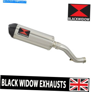 N[p[c z_VFR1200F 2010-2016iSC63jrCTCT[ȉ~`̃XeX/J[{`bv300st HONDA VFR1200F 2010-2016 (SC63) Exhaust Silencer Oval Stainless/Carbon Tip 300ST