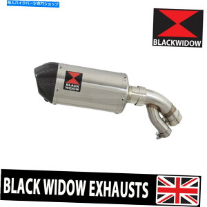 N[p[c BMW S1000XR 2015-2019rCTCT[200mmȉ~`XeX+J[{200ST BMW S1000XR 2015-2019 Exhaust Silencer 200mm Oval Stainless + Carbon 200ST