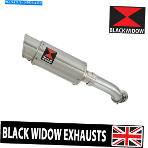 N[p[c Ninja 1000 SXGL][VTCT[200mmEhXeX200SS. Ninja 1000 SX Exhaust Silencer 200mm Round Stainless 200SS