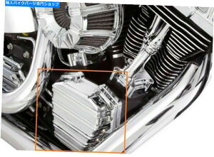 �N���[���p�[�c Arlen Ness 03-962 10�Q�[�W�N���[���J���J�o�[�p�n�[���[01-17�c�[�����O/�\�t�g Arlen Ness 03-962 10 Gauge Chrome Cam Cover for Harley 01-17 Touring / Softail
