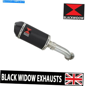 N[p[c E1000 SXrCTCT[200mmȉ~`̍XeXJ[{`bvBC20V Ninja 1000 SX Exhaust Silencer 200mm Oval Black Stainless Carbon Tip BC20V