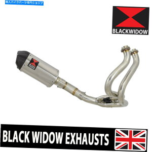 N[p[c Ninja 650 17/20 650R჌xfLbgGL][XgVXeI[oTCT[200ST Ninja 650 17/20 650R Low Level De Cat Exhaust System Oval Silencer 200ST