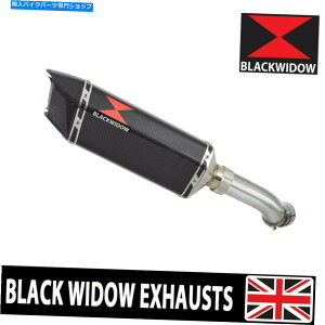 N[p[c Ninja 1000 SXrCTCT[300mmZpYfCC30H Ninja 1000 SX Exhaust Silencer 300mm Hexagonal Carbon CC30H