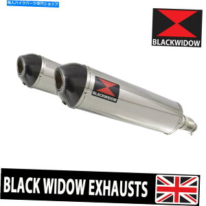 �N���[���p�[�c �z���_CBR 1100 XX�u���b�N�o�[�h4-2�r�C�T�C�����T�[�X�e�����X+�J�[�{���`�b�v400st Honda CBR 1100 XX Blackbird 4-2 Exhaust Silencers Stainless + Carbon Tip 400ST