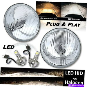 USwbhCg 5-3 / 4 "XgbNKXwbhCg6K LED H4Cgv̓dnCr[wbhvyA 5-3/4" Stock Glass Headlight 6k LED H4 Light Lamp Bulb High Beam Headlamp Pair