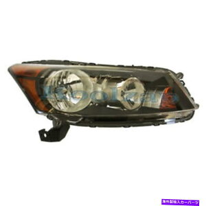 USwbhCg CAPA 08-12AR[hZ_wbhCgwbhvtgwbhCgvȑ CAPA 08-12 Accord Sedan Headlight Headlamp Front Head Light Lamp Passenger Side
