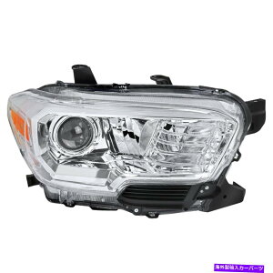 USwbhCg Ԃ̃jOCgȂ̃^R}iEȑjwbhCg For Tacoma (Right Passenger Side) Headlights WITHOUT Daytime Running Light