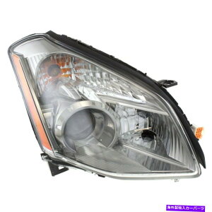 USwbhCg 2008N̓YMAXIMA SE SLfdŃf Headlight For 2008 Nissan Maxima SE SL Models Right With Bulb