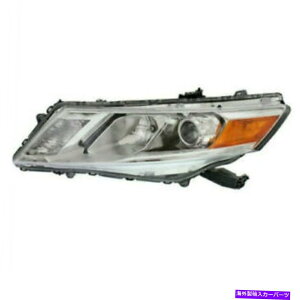 USwbhCg NXXgD[2013N2013N2014N2015ÑwbhCgnQhCo[ FIT FOR CROSSTOUR 2013 2014 2015 HEADLIGHT HALOGEN LEFT DRIVER