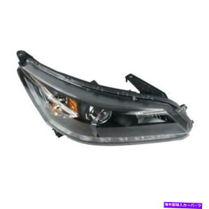 USwbhCg z_AR[h13-14EȑwbhCgwbhvASSY LEDZ_ For Honda Accord 13-14 Right Passenger Side Headlights Headlamps Assy Led Sedan