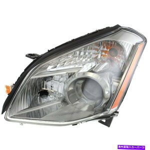 USwbhCg 2008N̓YMaxima SE SLfdŎcĂwbhCg Headlight For 2008 Nissan Maxima SE SL Models Left With Bulb
