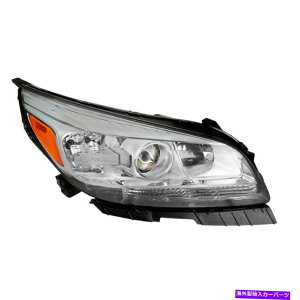 USwbhCg 13-15V{[}uEȑvWFN^[wbhCgAZu For 13-15 Chevrolet Malibu Right Passenger Side Projector Headlight Assembly