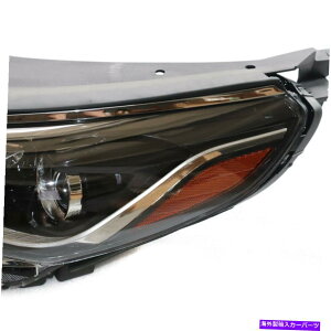 US�w�b�h���C�g 18-2019 Hyundai Sonata�̂��߂̍��w�b�h���C�g�^�]�҂̃n���Q�������v�̌��� Left Headlight Driver Side Halogen Lamp Replacement For 18-2019 Hyundai Sonata�y���s�A���i�z