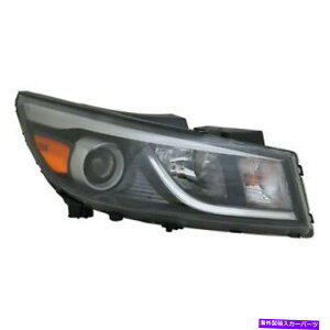 US�w�b�h���C�g Sedona�A2015�N2017�N2017 2017 2017 2017 2017 2017 2017 2017�N�E��q FITS FOR SEDONA, 2015 2016 2017 2018 HEADLIGHT HALOGEN W/O LED RIGHT PASSENGER�y���s�A���i�z