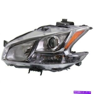 USwbhCg Y}LV}2009-2014̂߂̐VNI2502177C CAPA^]ґ̃wbhCg New NI2502177C CAPA Driver Side Headlight for Nissan Maxima 2009-2014