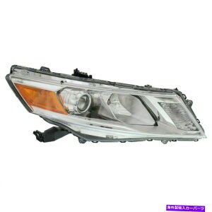 USwbhCg q̐RHwbhvAZu2013N2014N2014N2015N2014N2014Ñz_AR[hNXXgD[ Passenger Right RH Headlamp Assembly fits 2013 2014 2015 Honda Accord Crosstour